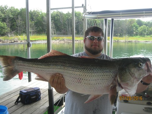 Nice Striped Bass